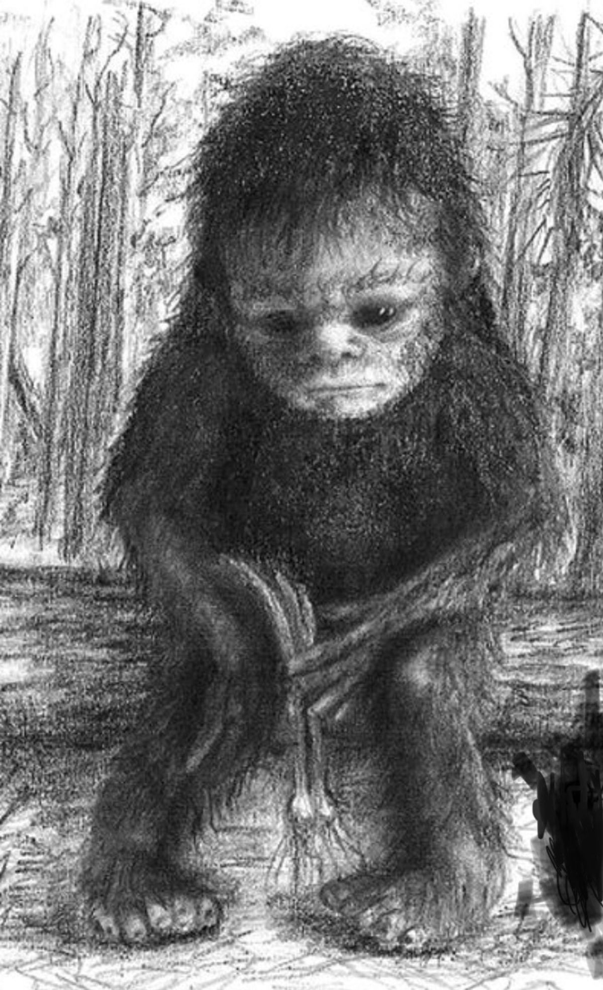 ArkansasBigfoot