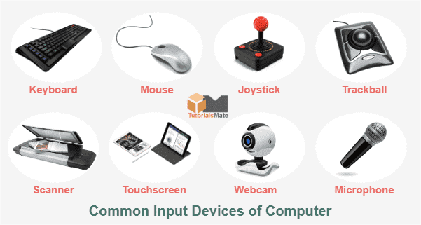 What are the main input devices of computer? — TutorialsMate