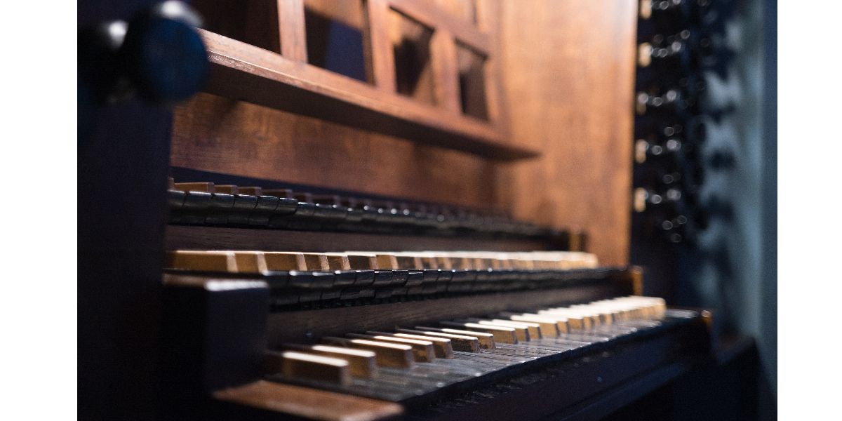 Organ Coaching