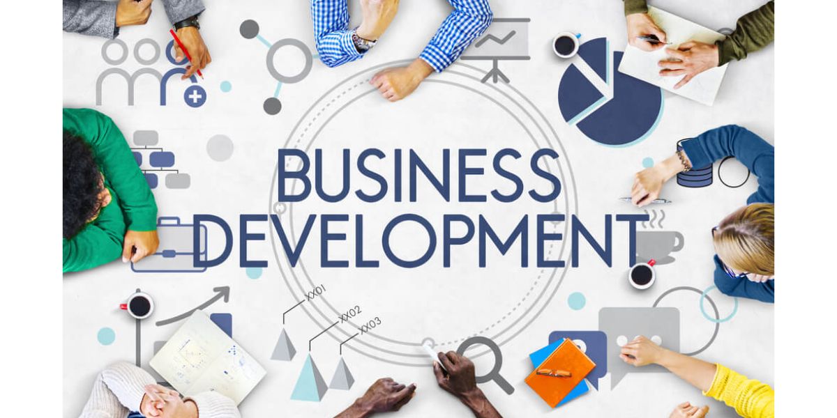 Business Development Advice