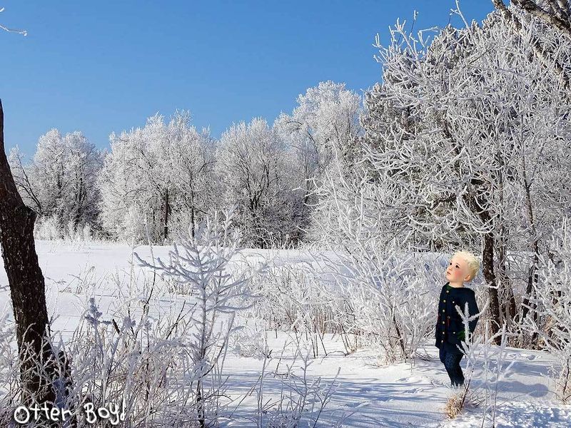 Otter Boyd - Exploring Fresh Snow