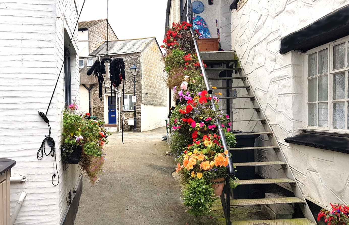 Rosie's Dog Friendly Holiday Let in Looe Cornwall — RosieSpooner