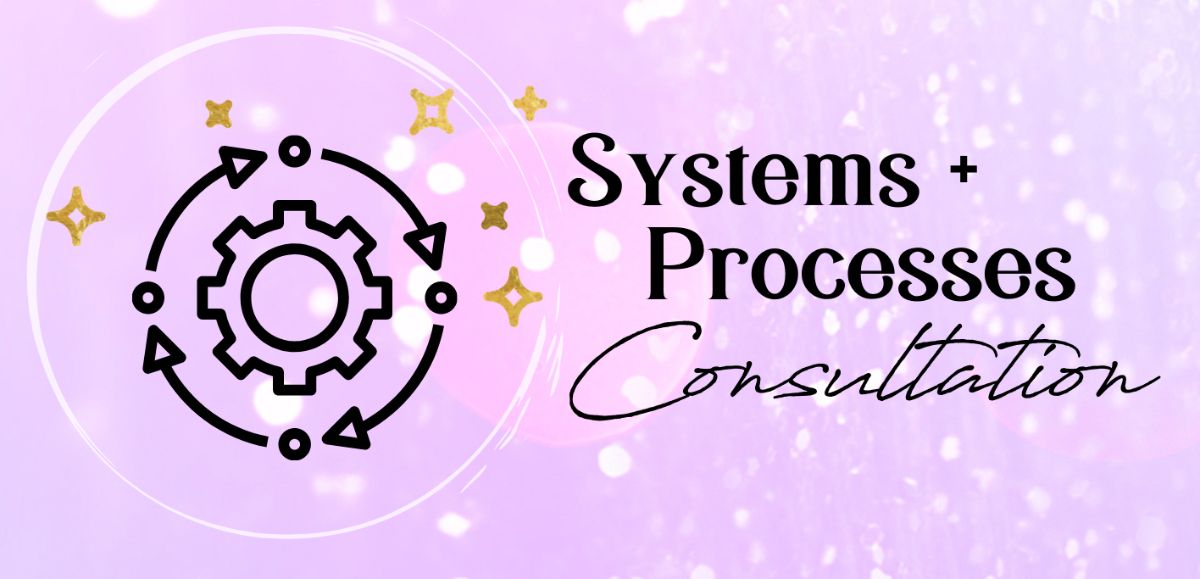 Systems & Processes Consultation