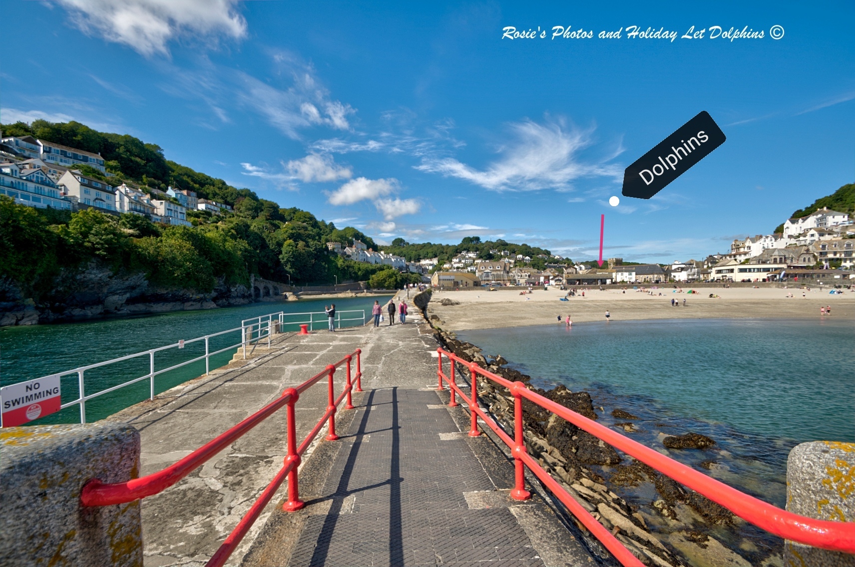 Rosie's Dog Friendly Holiday Let in Looe Cornwall — RosieSpooner