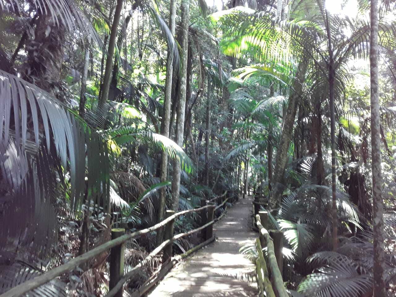 Botanical Garden of São Paulo — Ben Weinberg