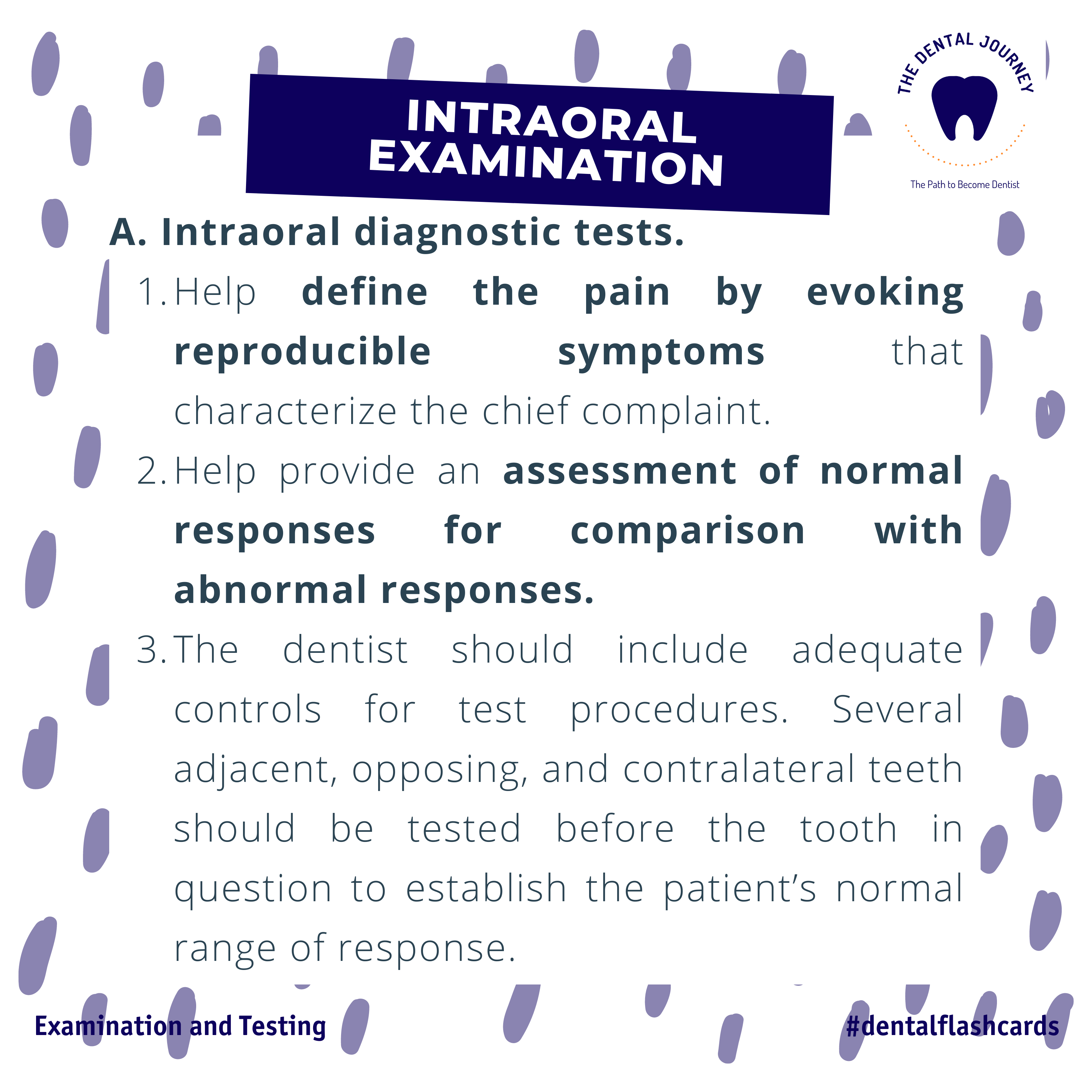 Endodontic Examination and Testing — The Dental Journey