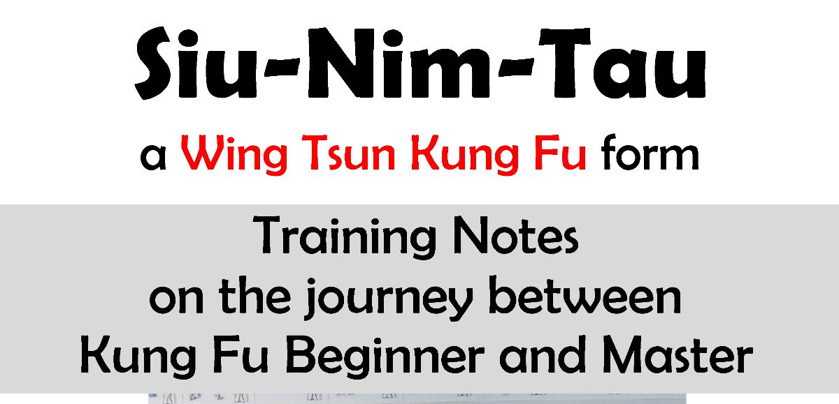 Master this Wing Tsun Kung Fu Form - #DasWingTsun eBook