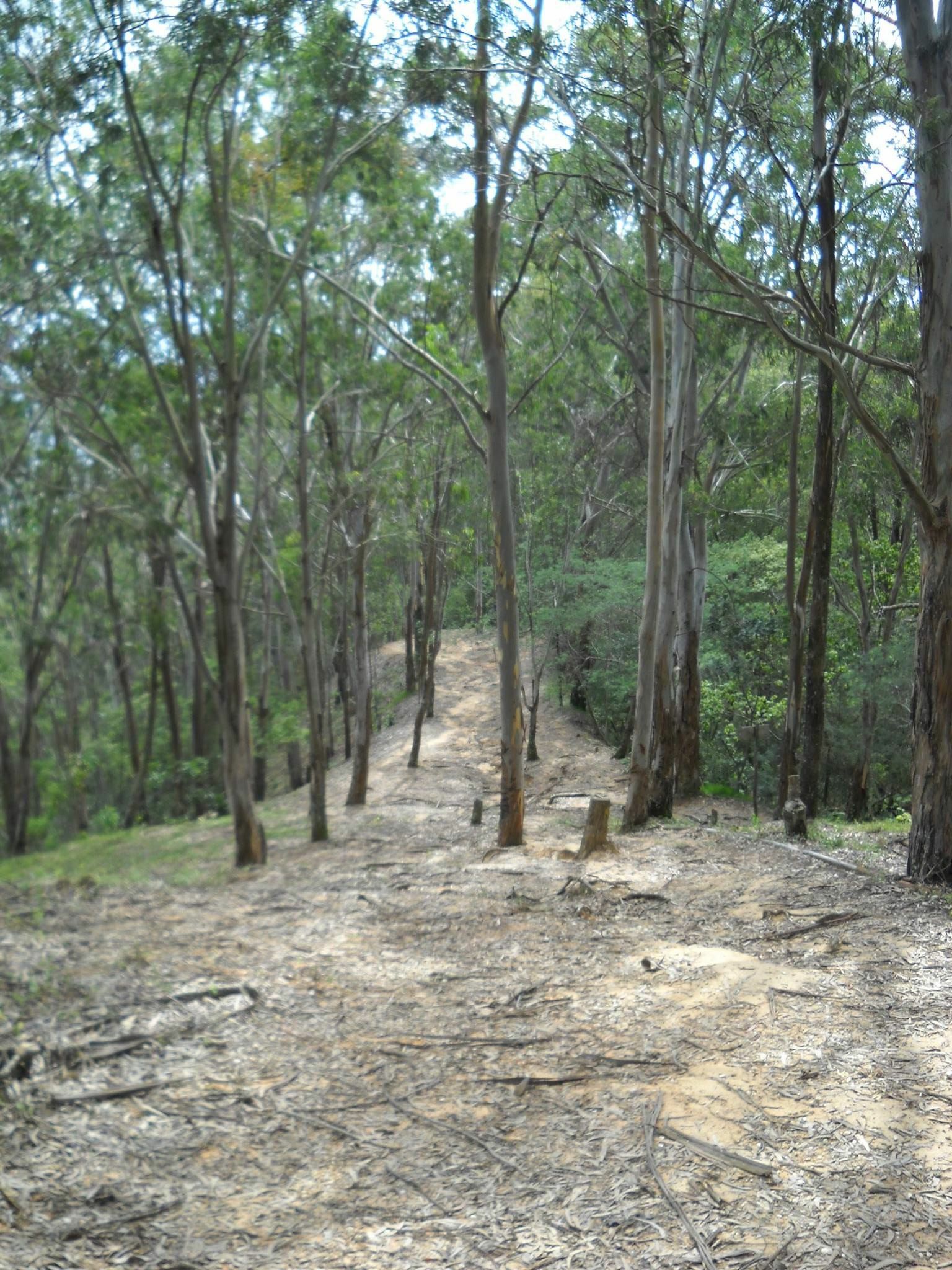 Parque Recreacional 