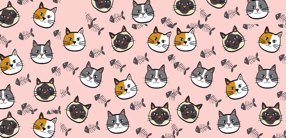 PNG File Cats Designs