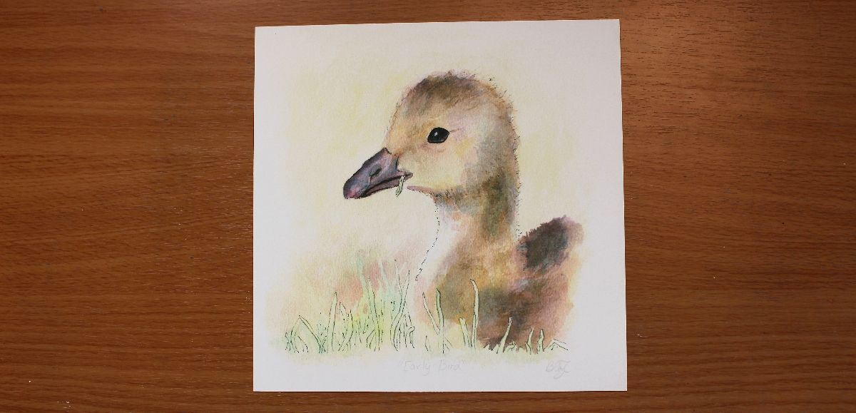 Signed "Early Bird" print | 8"x8"