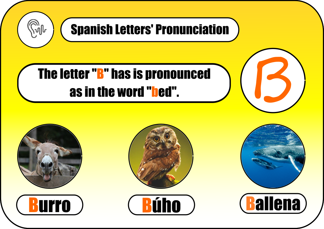 Spanish Alphabet Pronunciation Preview — miglix21