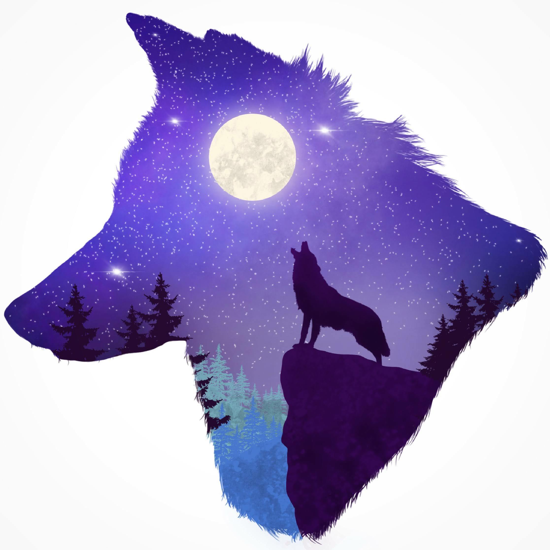 Night Wolf — Minimalista!