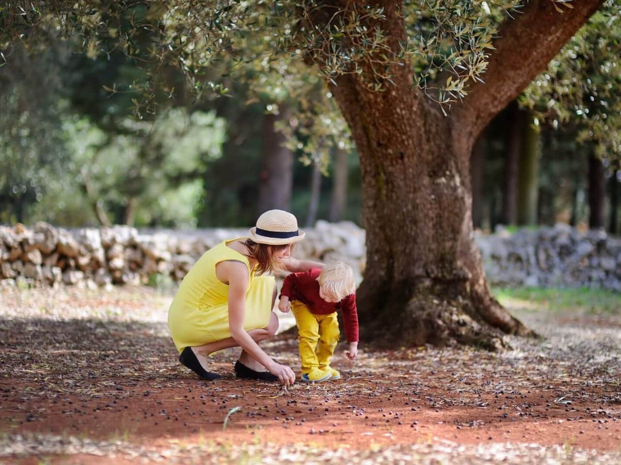 Olive Oil Tasting Chania Crete Greece — YiannisCrete
