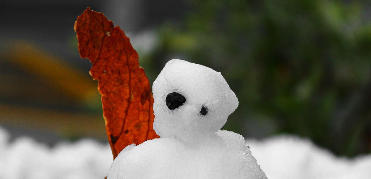 Digital photo of a snowman