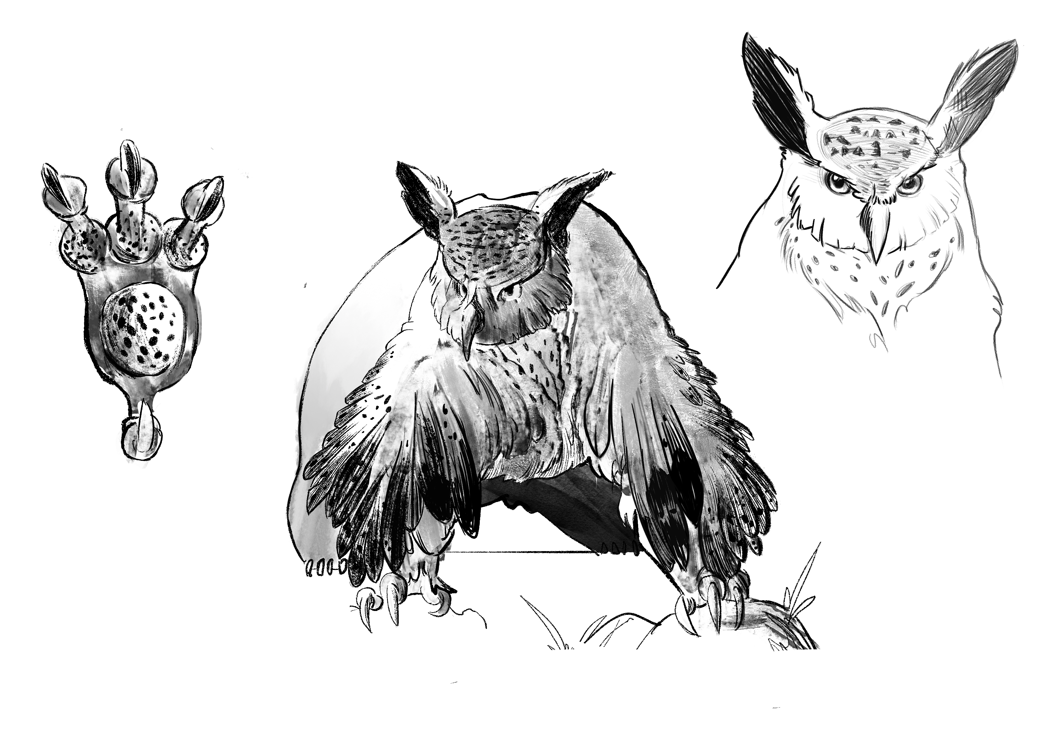 owlbear-inking-trial-franciesco