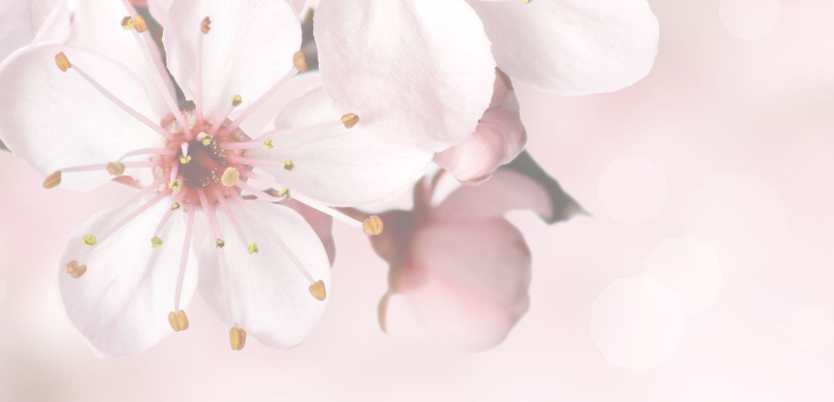 B6 Pink Flowers Dashboard Printable