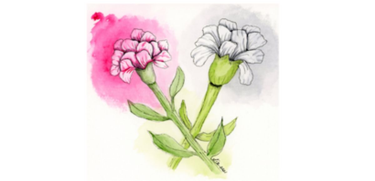 2 Carnations watercolor and ink digital print