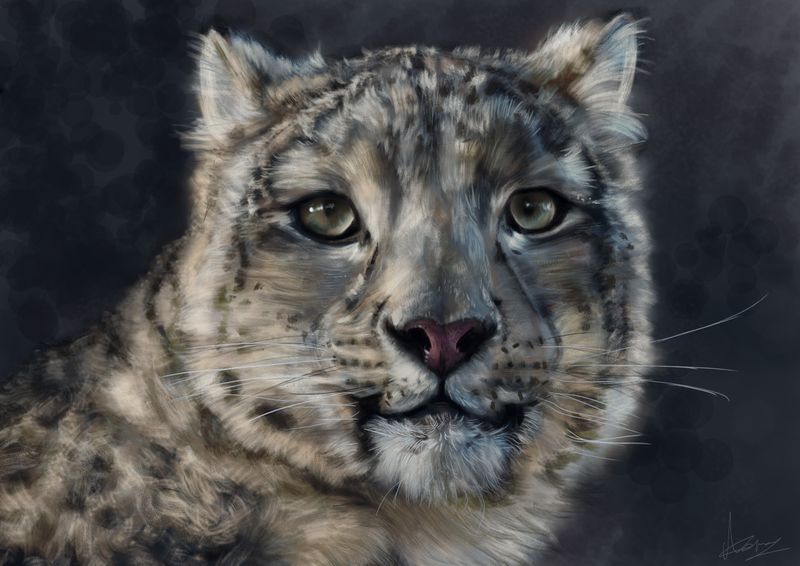 Snow leopard digital painting