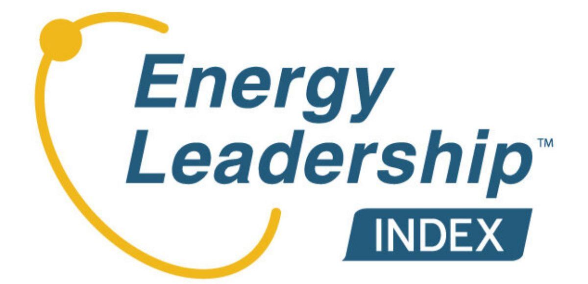 Energy Leadership Index Assessment (ELI)