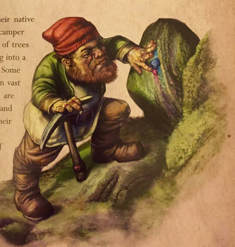 History of Funny Gnomes — alleyprints