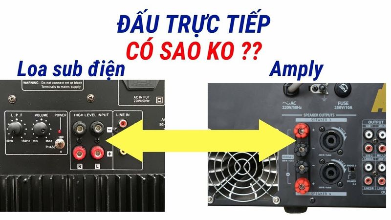 Cach dau loa sub dien vao ampli 2 kenh