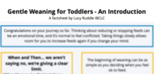 Lucy Ruddle IBCLC is Providing Skilled Breastfeeding Support for ...