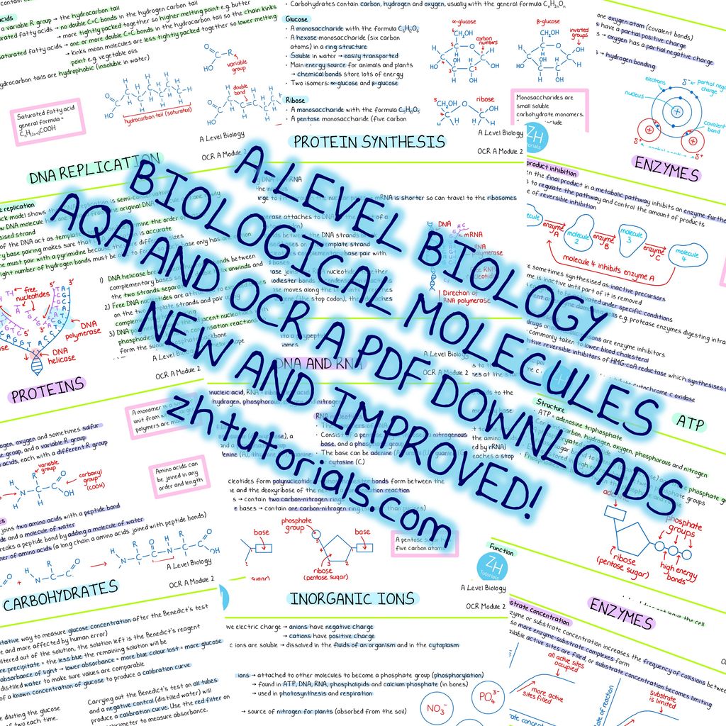 Posts | Zoe Huggett Tutorials | A-Level Biology and Chemistry Tutor