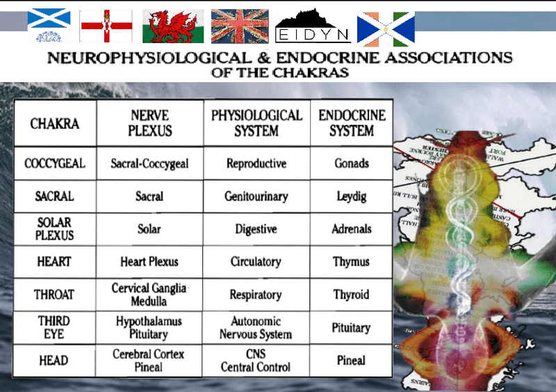 Chakras 