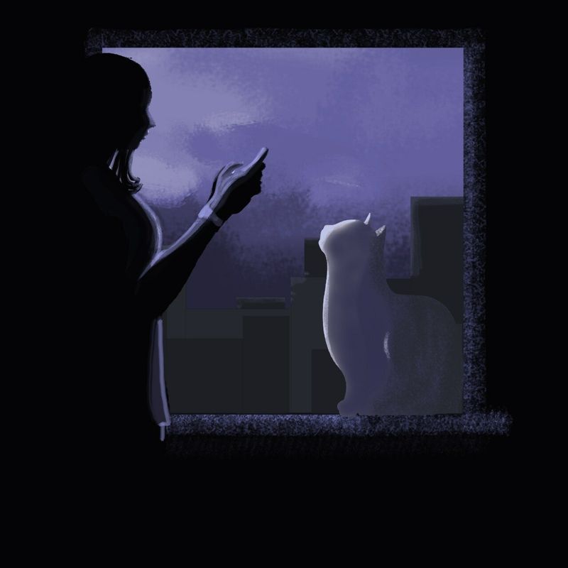 Luz de Luna
