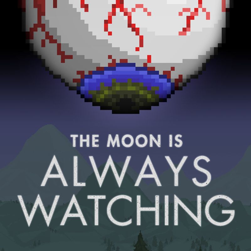 Eye on the Moon