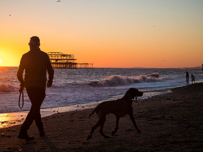 Brighton Postcards