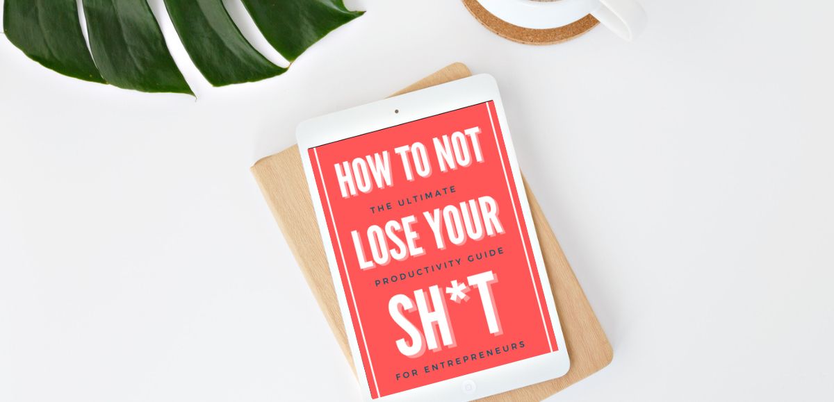 How To Not Lose Your SH*T (e-reader + workbook)