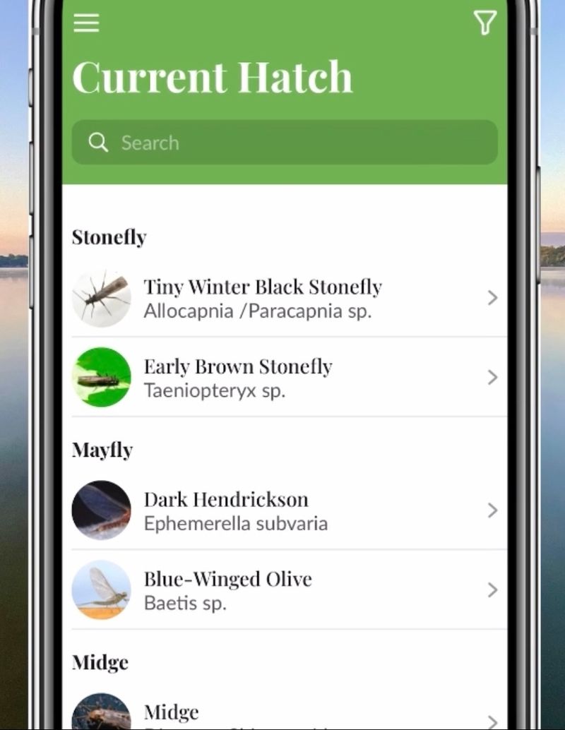 App updates