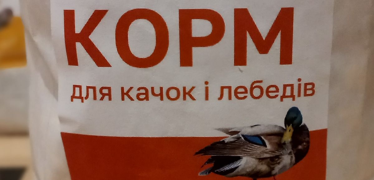 Корм для качок і лебедів