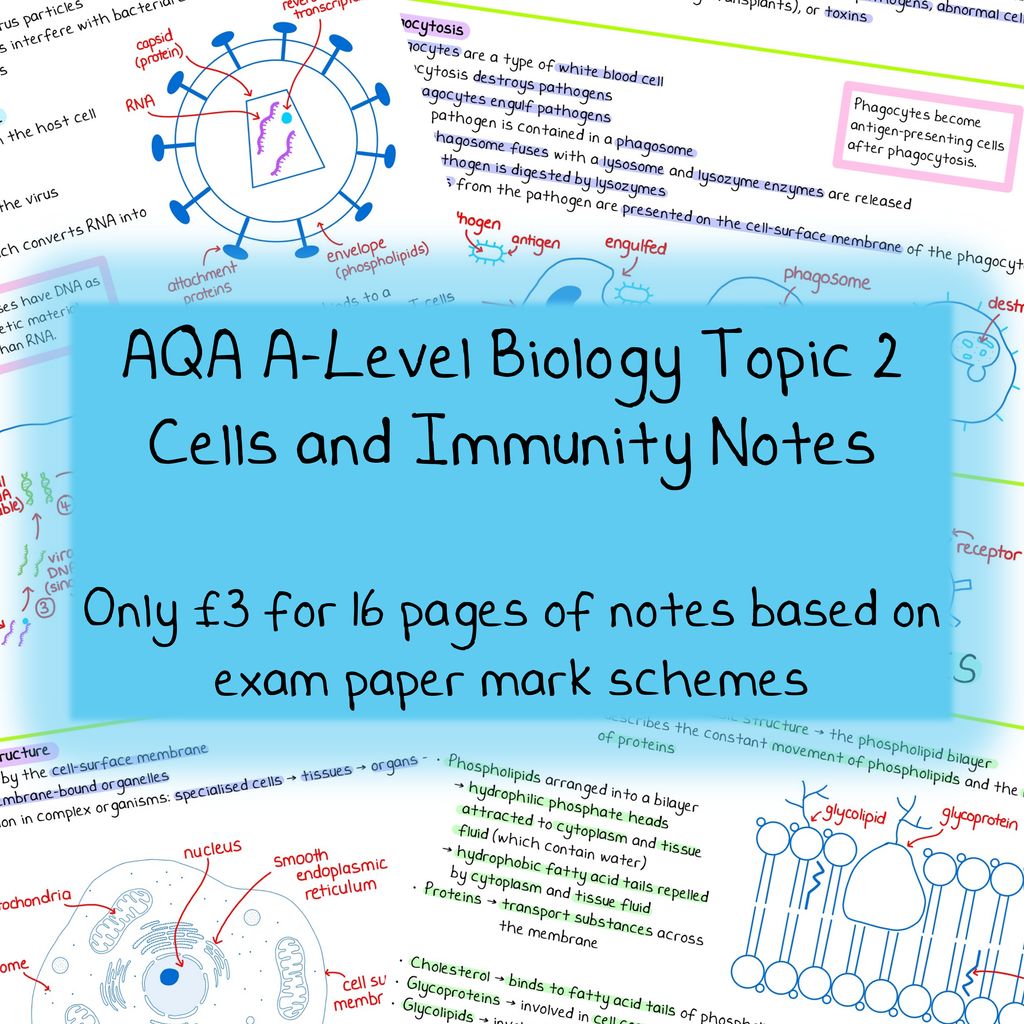 Posts | Zoe Huggett Tutorials | A-Level Biology and Chemistry Tutor