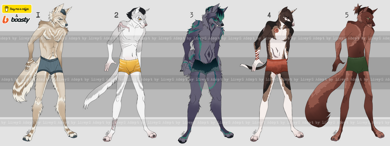 Adopt anthro canine