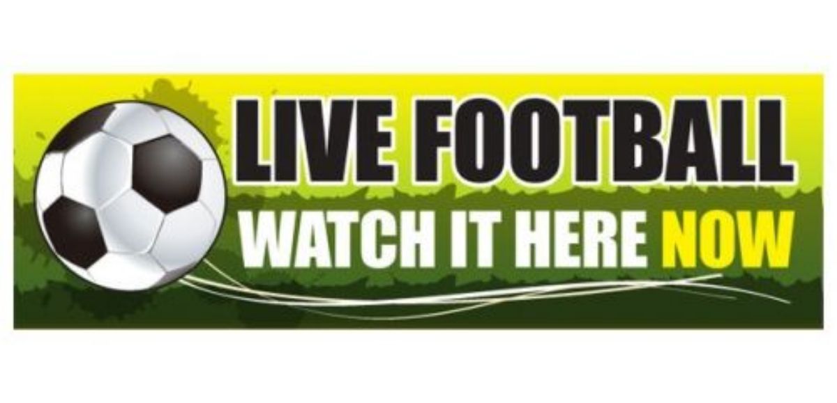 Botafogo x Sao Paulo || Live Stream