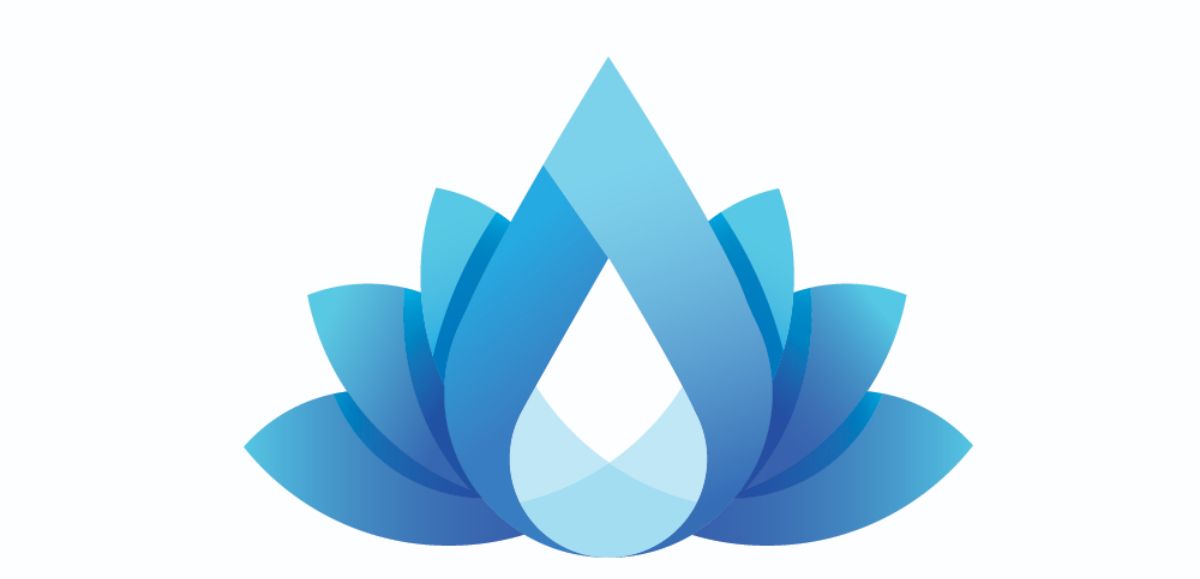 Professional Logo