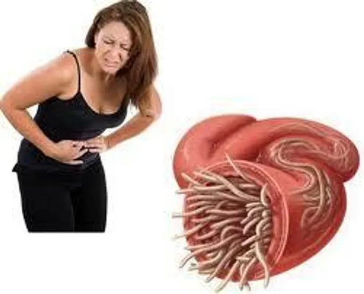 Parasites Cause Inflammation, Bloating, Belly Fat, Weight Gain