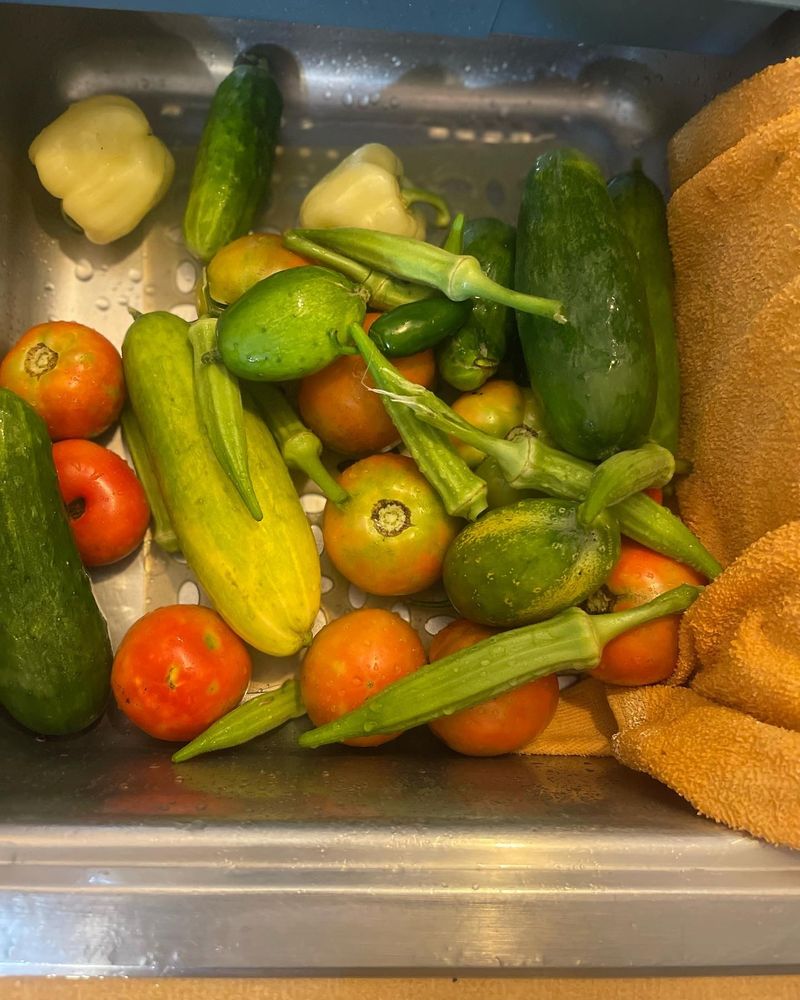 Small harvest 