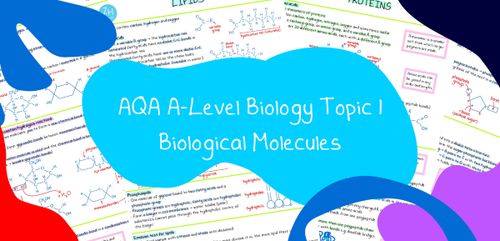 Extras | Zoe Huggett Tutorials | A-Level Biology and Chemistry Tutor