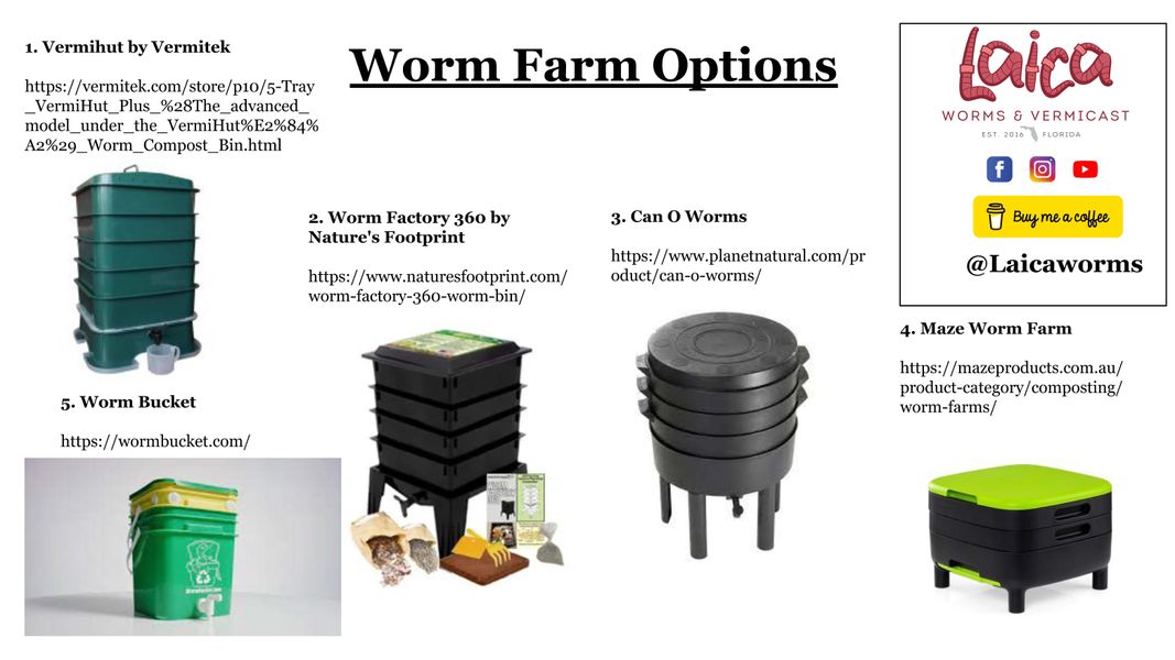 Worm Farm Options — Laica Worms
