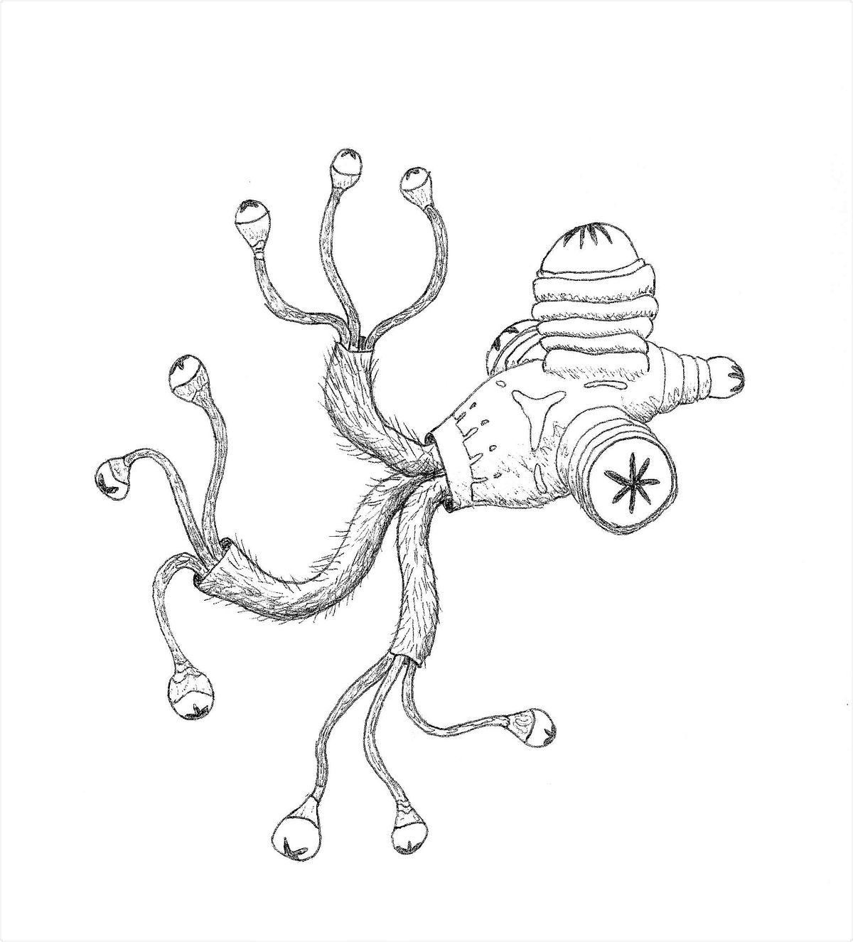 siphon-animal-way-out-dan-buymeacoffee