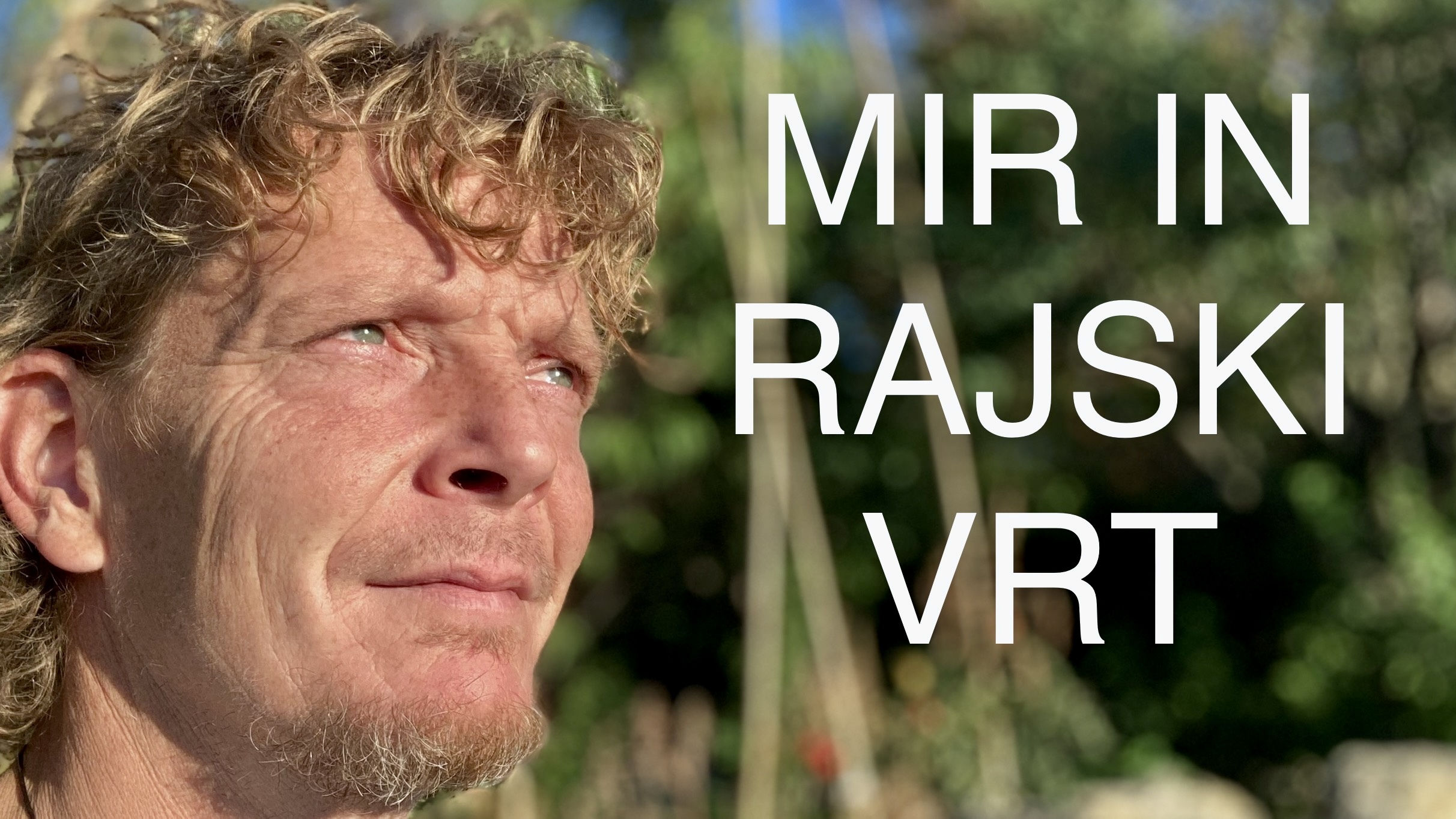 VRT Stock An Undervalued Gem 