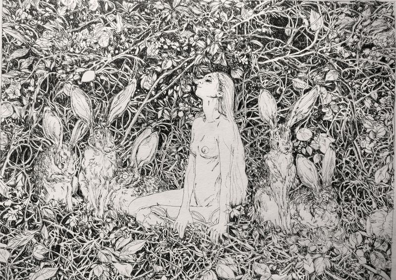 in the rabbits garden