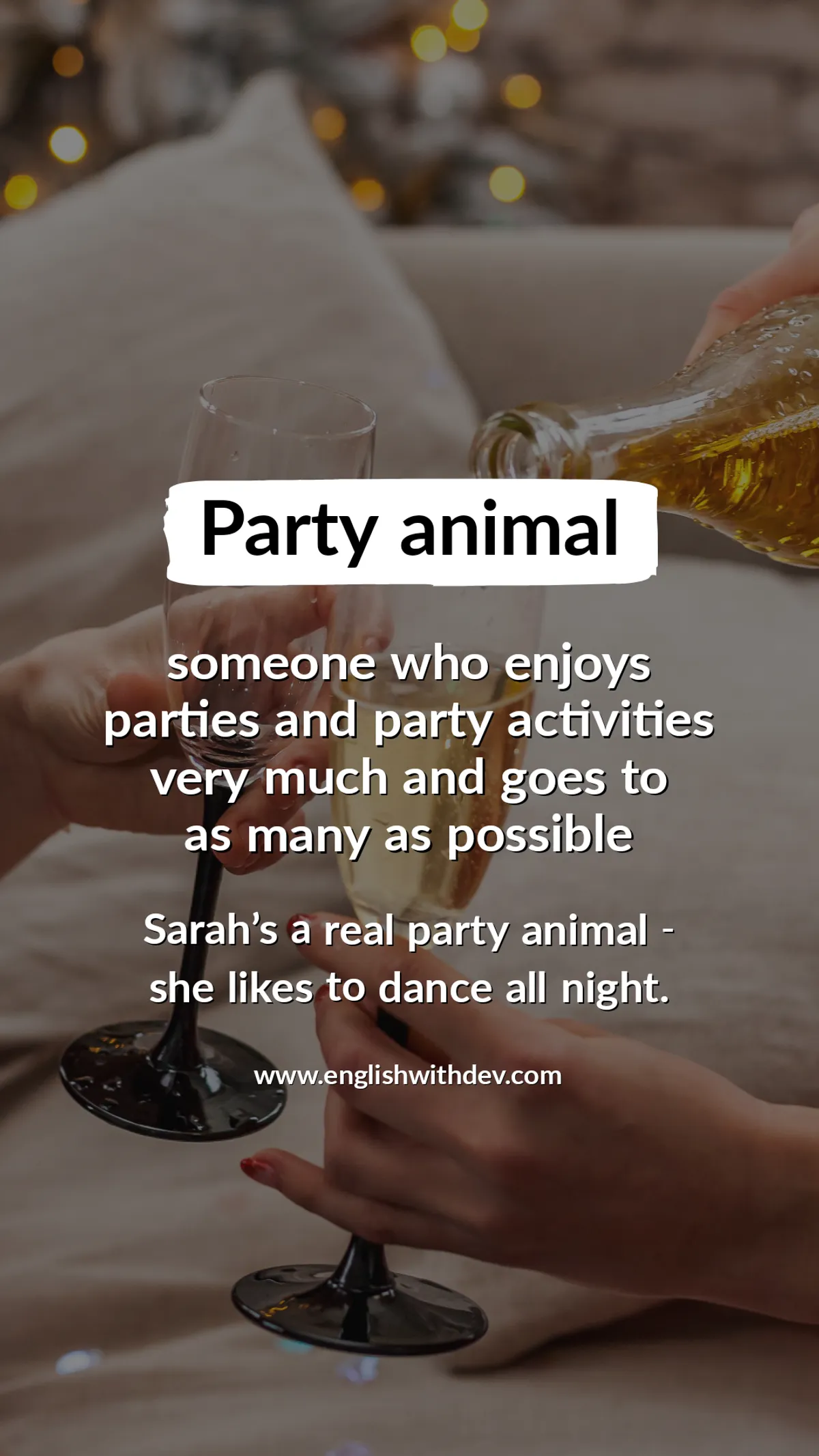 Party Animal Idiom Meaning Dev