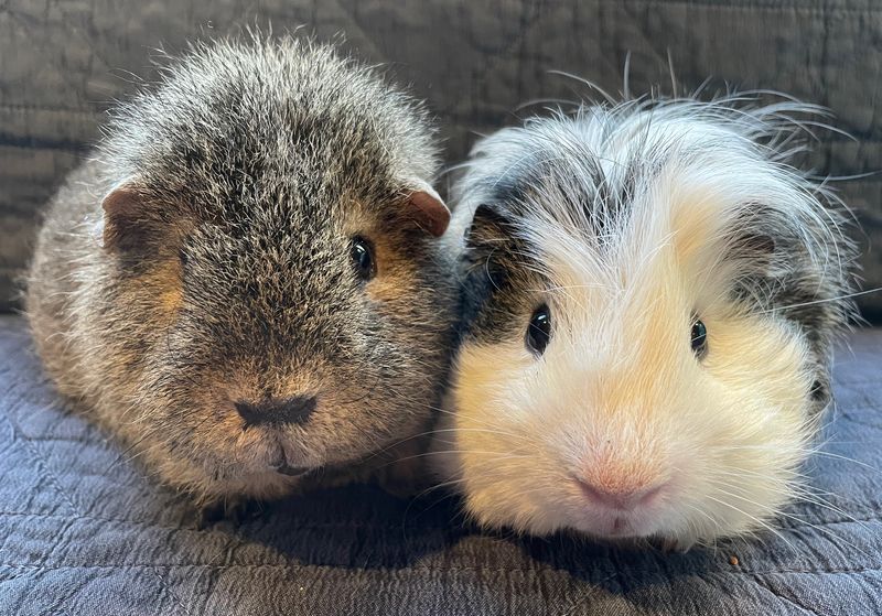 Hi Everyone!