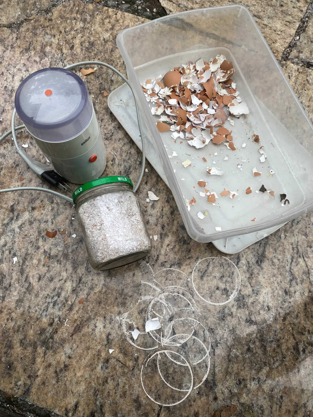 Grit for Digestion — Laica Worms