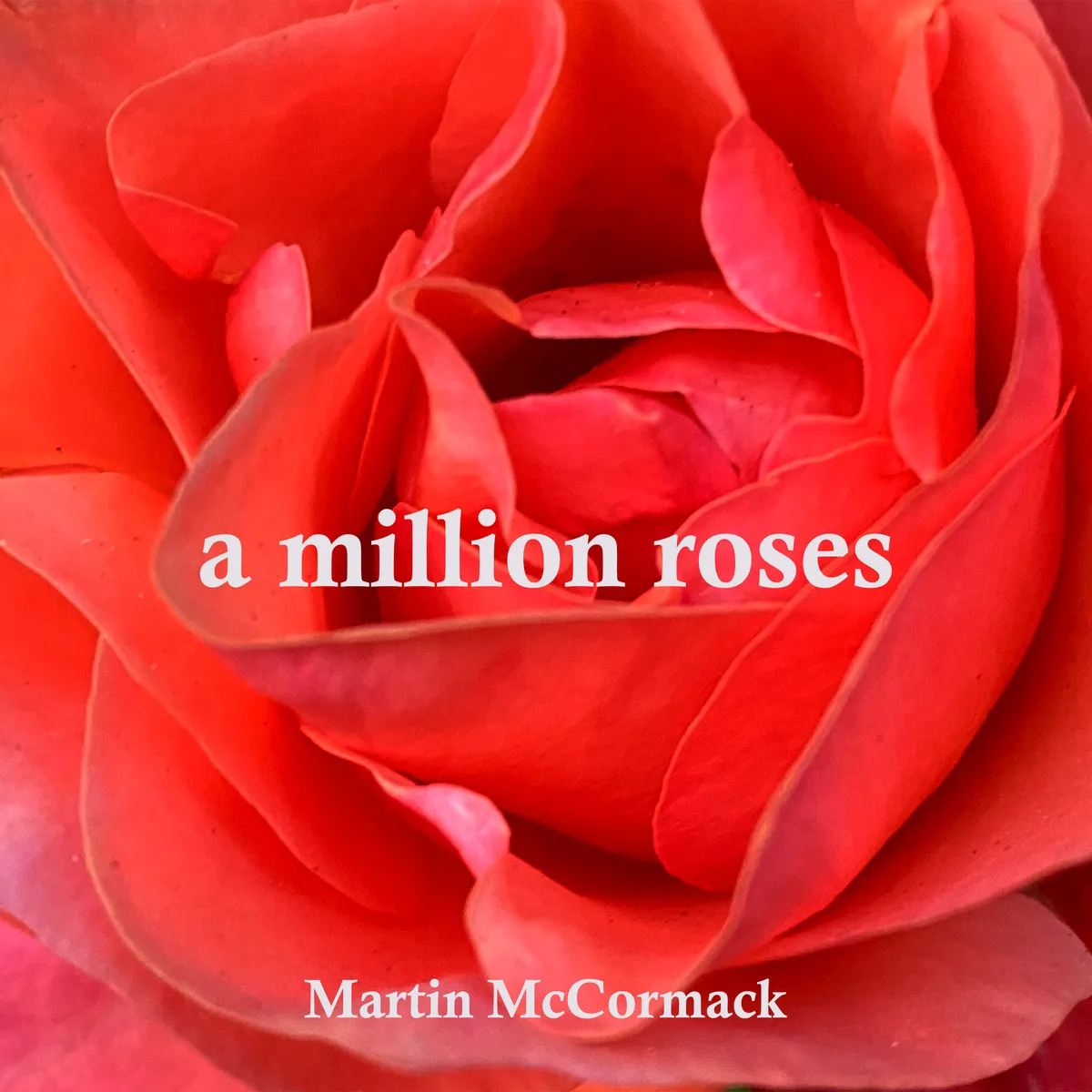 The Story Behind "A Million Roses" — Martin McCormack