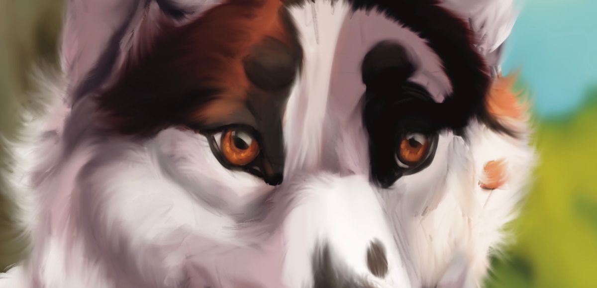 Sketch Portrait